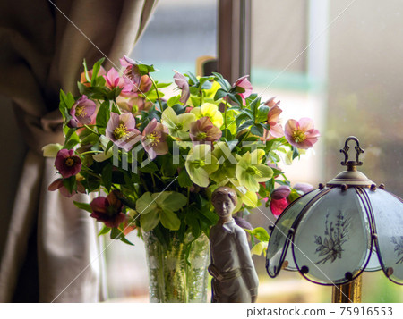 Bouquet of Christmas roses in a vase 75916553