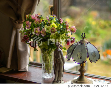 Windowside Christmas roses and desk lamps and pottery dolls 75916554