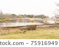 Beside a swamp 75916949