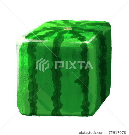 方形西瓜 75917078