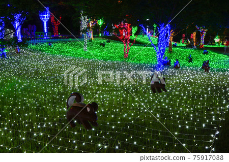 Beautiful night view of Gwangju Uchi Park night fireworks festival 75917088