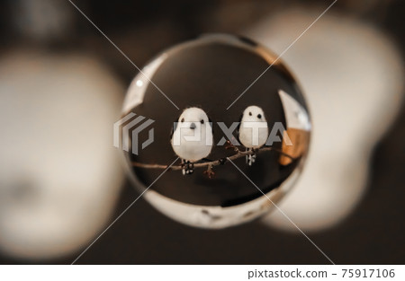 長尾山雀 75917106