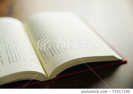 Open book 75917190