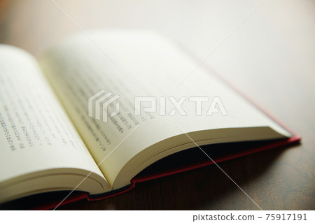 Open book 75917191