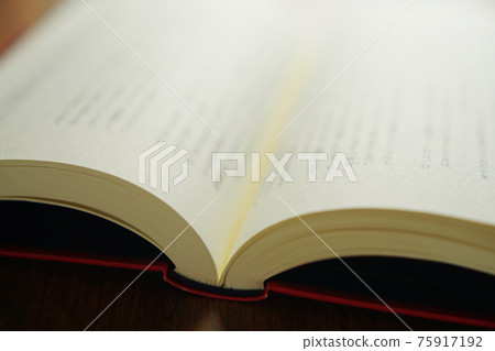 Open book 75917192