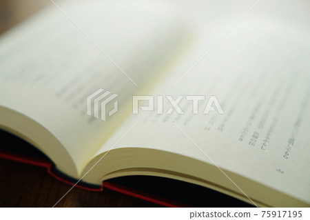 Open book 75917195