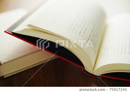 Open book 75917243