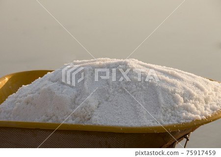 Scene of salt work at Yeonggwang hydrochloric acid field 75917459