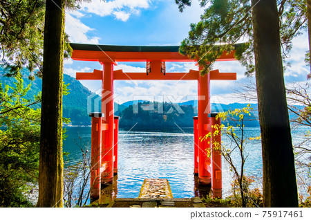 Hakone Shrine, Kanagawa Prefecture Peace Torii Hakone Shrine, Kanagawa Prefecture Peace Torii 75917461