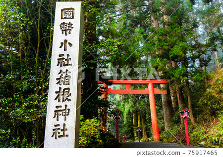 神奈川縣箱根神社第三鳥居 75917465