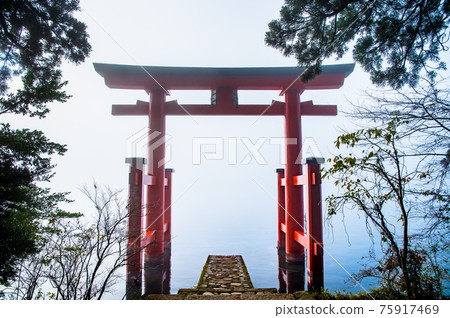 神奈川縣箱根神社和平鳥居 75917469