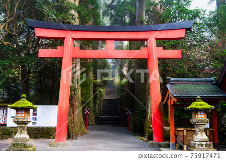神奈川縣箱根神社第四鳥居 神奈川縣箱根神社第四鳥居 75917471