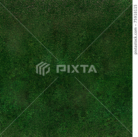 地面、草地、地面、草地紋理背景 75918115