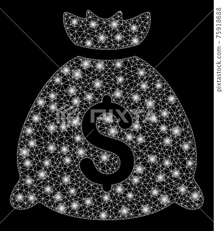 Bright Mesh 2D Money Bag with Flash Spots 75918688