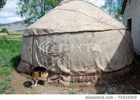 Nomad's house Nomad's house 75919369