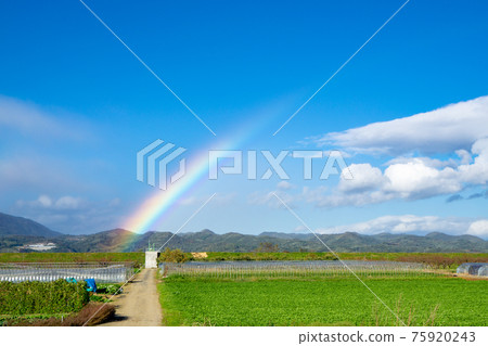 Rainbow rural scenery in Kunimi Town, Date City 75920243