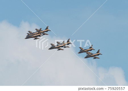 United Arab Emirates Air Force Acrobat Team "Al Fulsan" United Arab Emirates Air Force Acrobat Team "Al Fulsan" 75920557