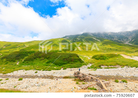 通往崇明川和雷鳥坂的山路 75920607
