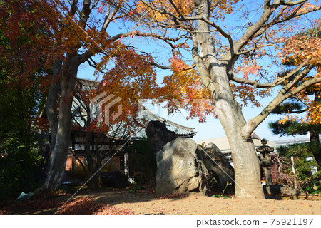 I went to Zenjuji Temple # 30 75921197