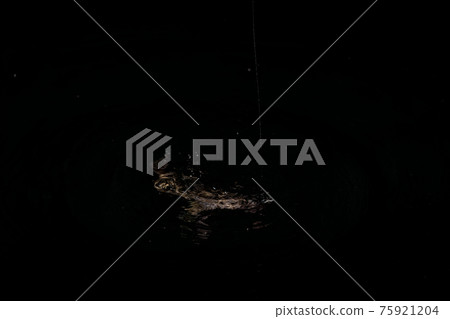 釣魚之夜梅弗林 釣魚之夜梅弗林 75921204