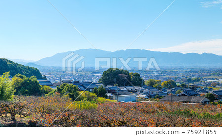 Kayoucho 金剛山和葛城山的山腰公路全景 75921855