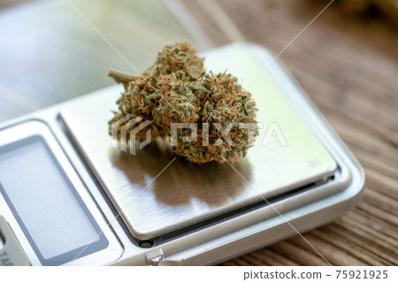 Marijuana flowers are placed on small scales. The scales were placed on the planks.Marijuana flowers have a beautiful trichrome. 75921925