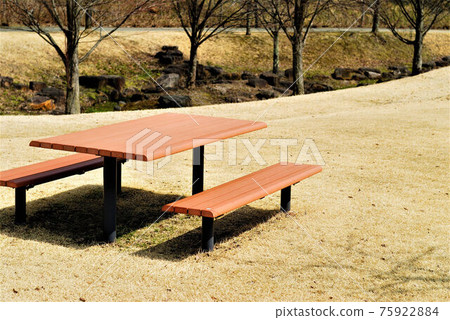 Spring park scenery 75922884