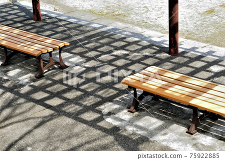 Spring park scenery 75922885