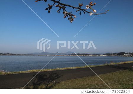 從霞浦湖畔眺望春天的茨城、筑波山 從霞浦湖畔眺望春天的茨城、筑波山 75922894