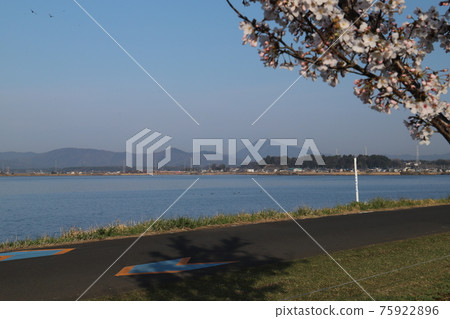從霞浦湖畔眺望春天的茨城、筑波山 從霞浦湖畔眺望春天的茨城、筑波山 75922896