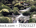 Upstream of the river flowing from the mountain 75923127