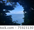The sea seen from the forest 75923130