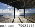 Sea of the Ogasawara Islands 75923132