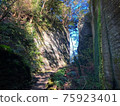 Path surrounded by rocks 75923401