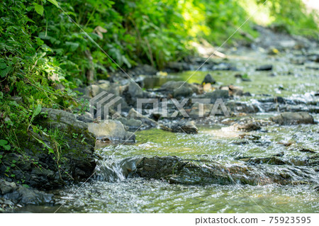 A fast mountain stream in sunny weather. 75923595