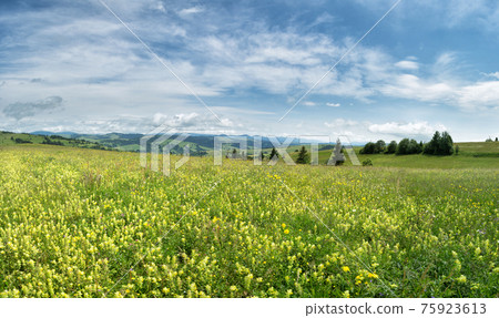 Blossoming glade against the backdrop of the mountain range. 75923613