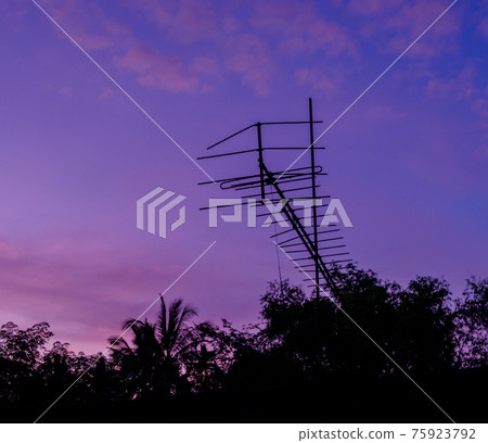 sky in the evening twilight time with tree siluate is beautiful 75923792