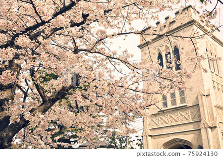 橫濱 - 山手 75924130