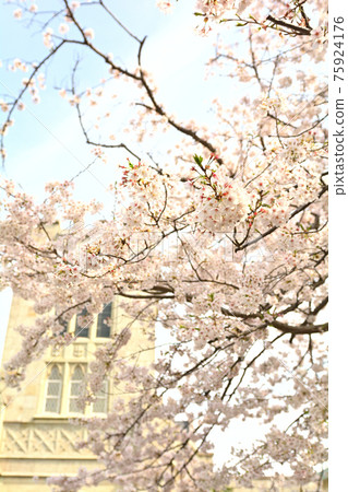 Yokohama - Yamate 75924176