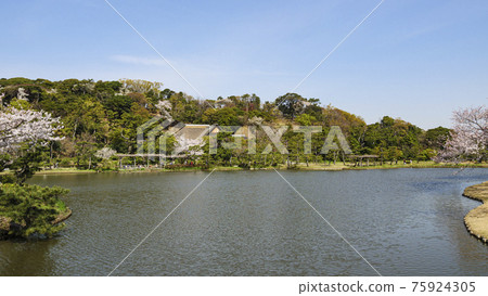Spring in Sankeien, a scenic spot in Yokohama City, Kanagawa Prefecture 75924305