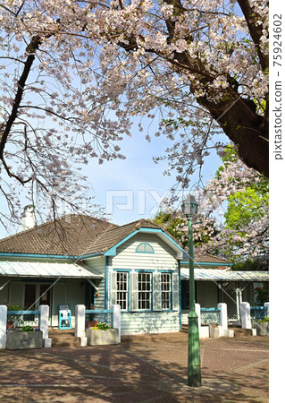 橫濱/山手公園 75924602