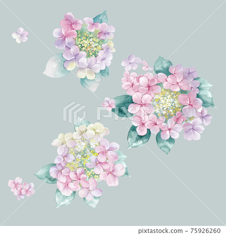 Colorful floral material combinations and design elements Colorful floral material combinations and design elements 75926260