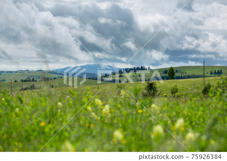 Beautiful meadow field with wildflowers against the background of mountains with clouds Beautiful meadow field with wildflowers against the background of mountains with clouds 75926384