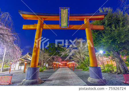 京都春天平野神社 京都春天平野神社 75926724