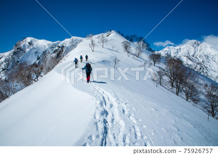 去冬遠嶺 去冬遠嶺 75926757