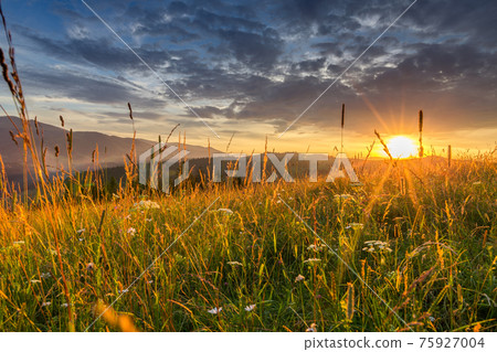 Mountain range on the background of the sunset 75927004