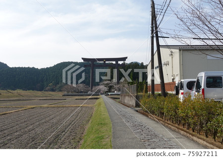 春天熊野本宮大社舊神社“Osaihara”Otorii 75927211