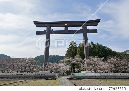 春天的熊野本宮大社前神社“大野原”八tag原閃耀著大鳥居 75927213
