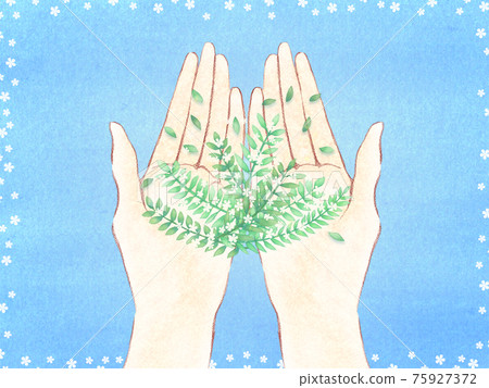 葉子和白色小花和藍色背景 葉子和白色小花和藍色背景 75927372