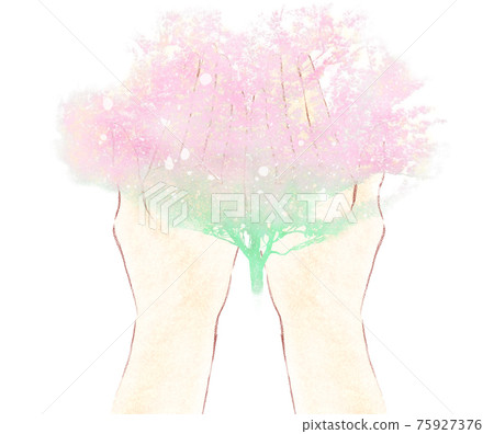 Palm with a gentle pink tree 75927376